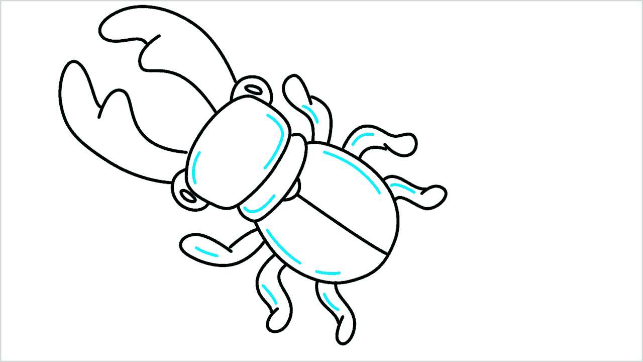Cómo dibujar un escarabajo ciervo paso a paso (7)