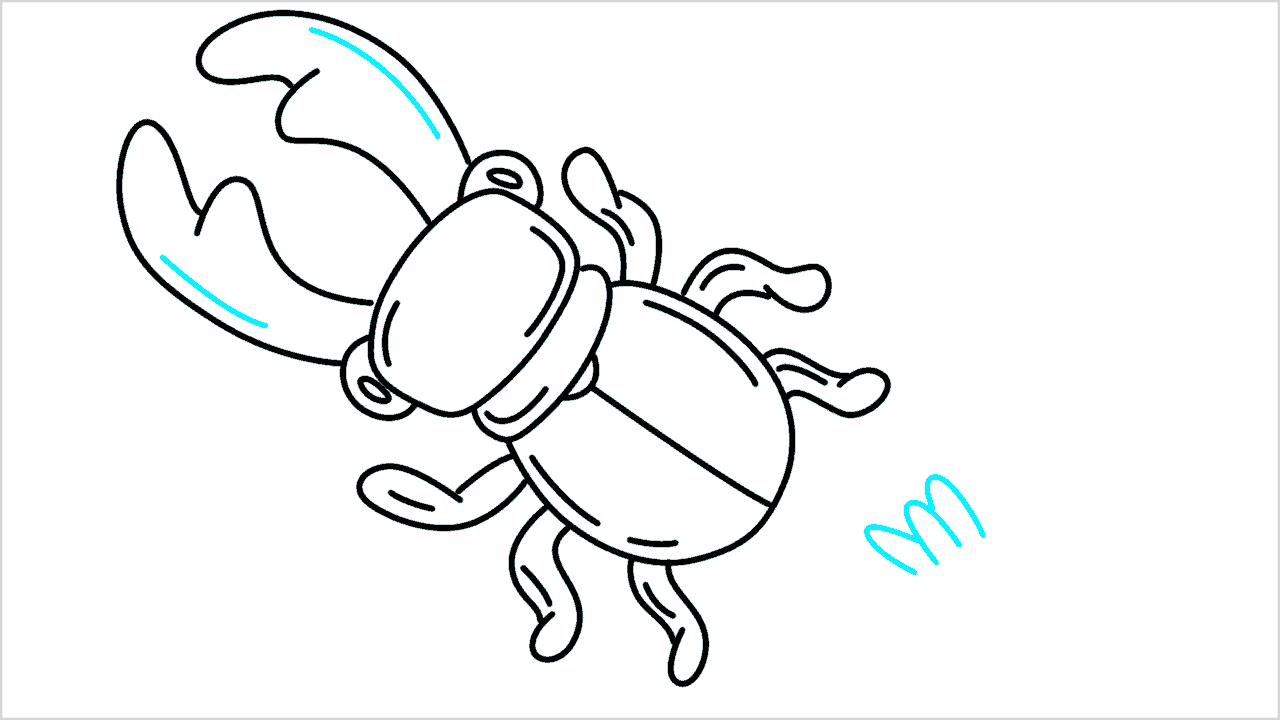 Cómo dibujar un escarabajo ciervo paso a paso (8)