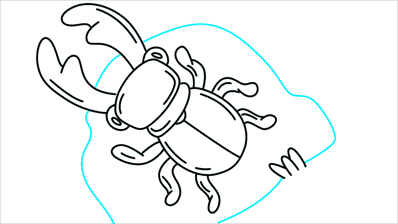 Cómo dibujar un escarabajo ciervo paso a paso (9)