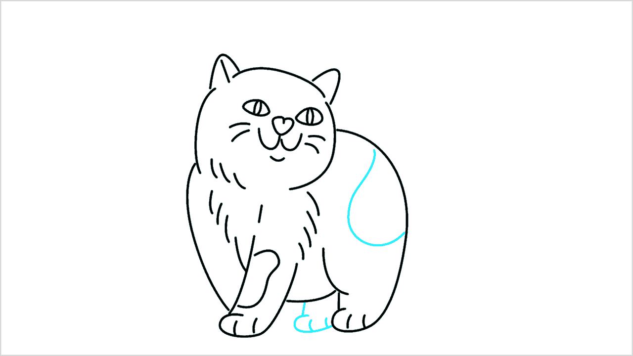 Cómo dibujar un gato (American Shorthair) paso a paso (10)