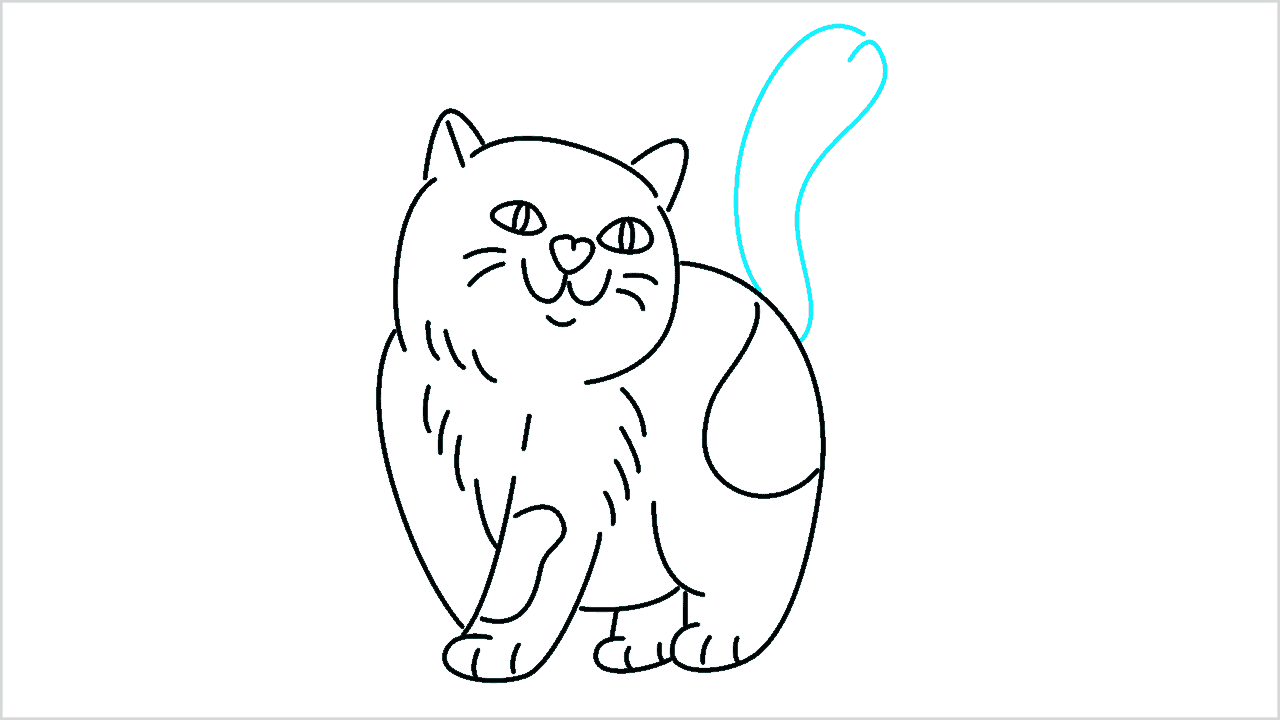 Cómo dibujar un gato (American Shorthair) paso a paso (11)
