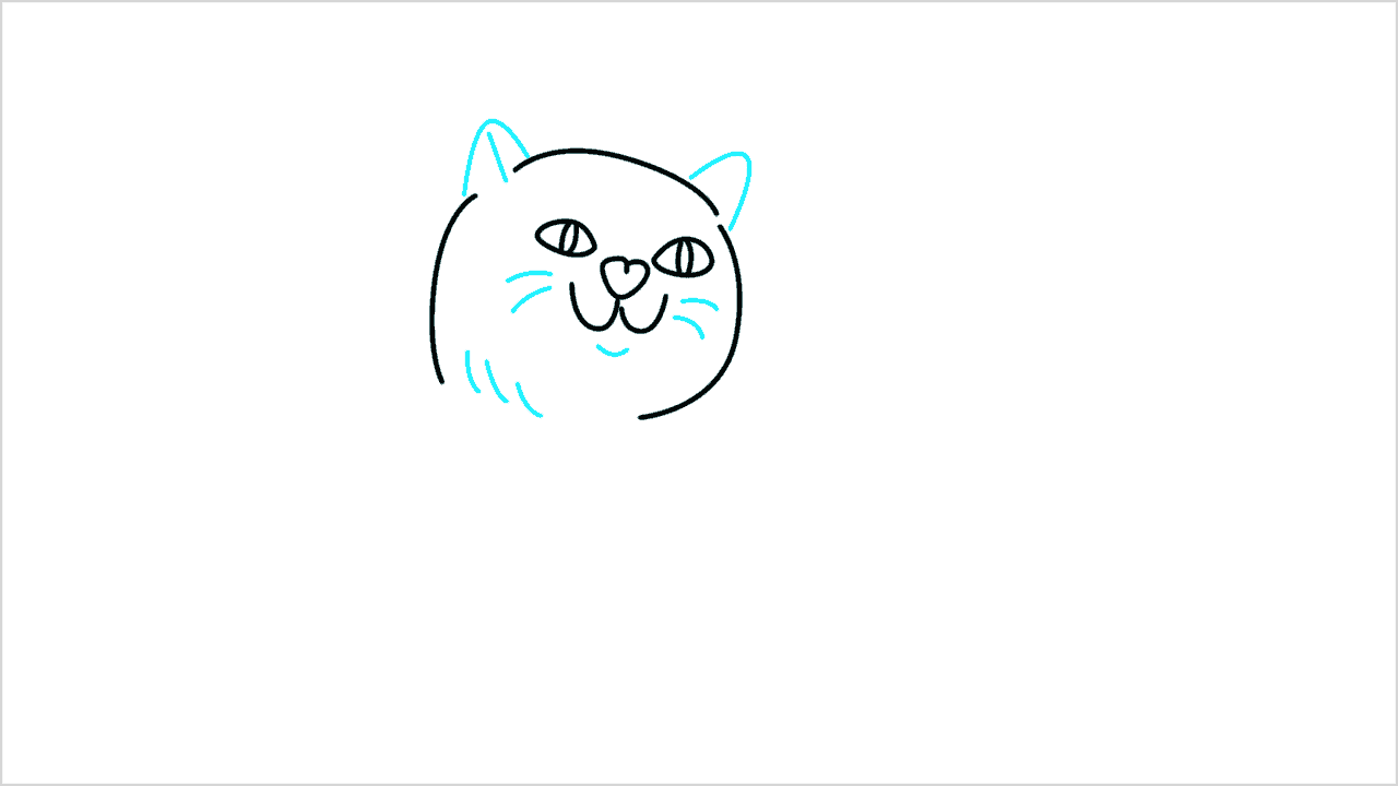 Cómo dibujar un gato (American Shorthair) paso a paso (5)