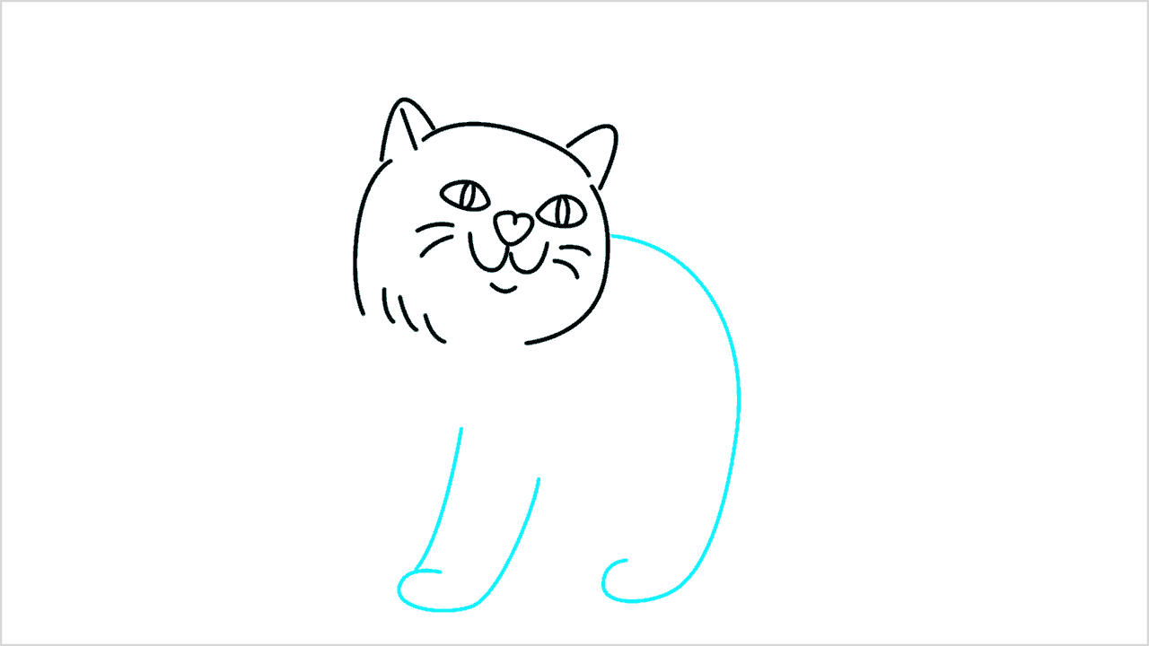Cómo dibujar un gato (American Shorthair) paso a paso (6)