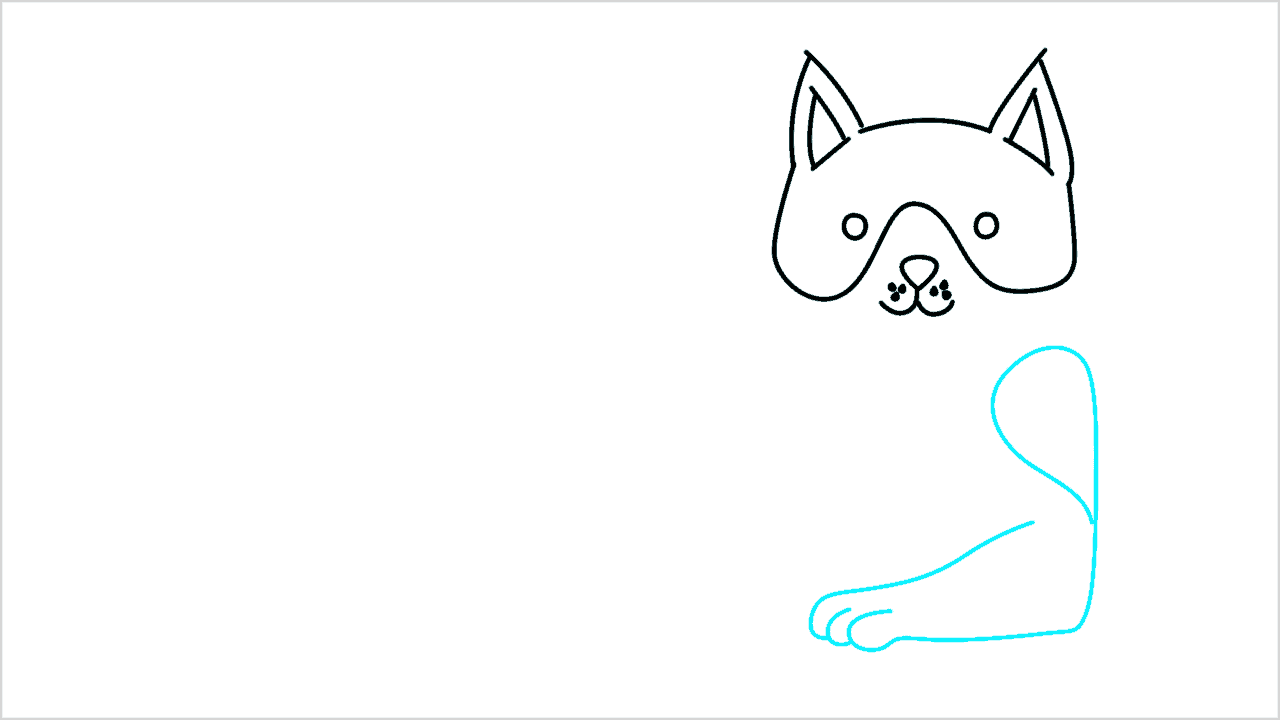Cómo dibujar un gato paso a paso (6)