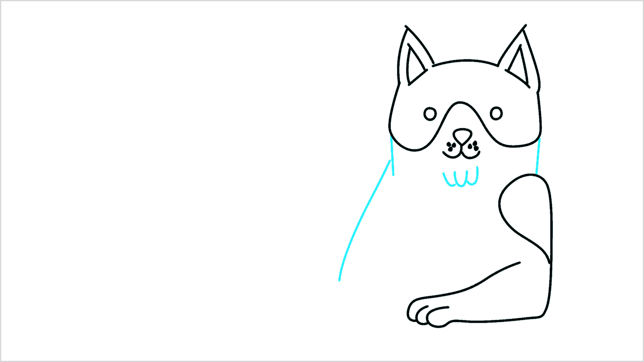 Cómo dibujar un gato paso a paso (7)