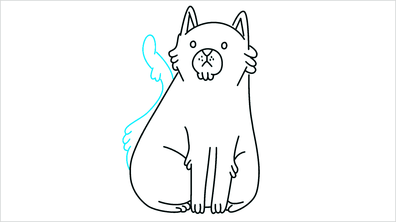 Cómo dibujar un gato sentado paso a paso (11)