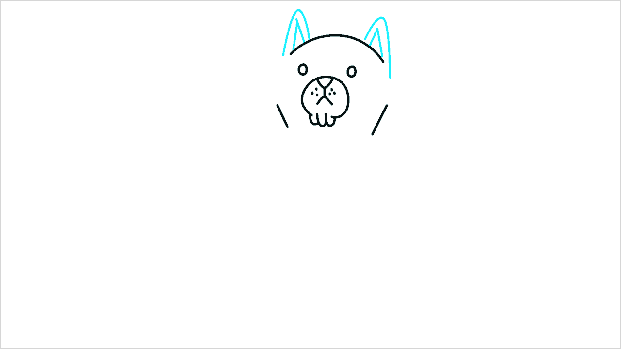 Cómo dibujar un gato sentado paso a paso (5)