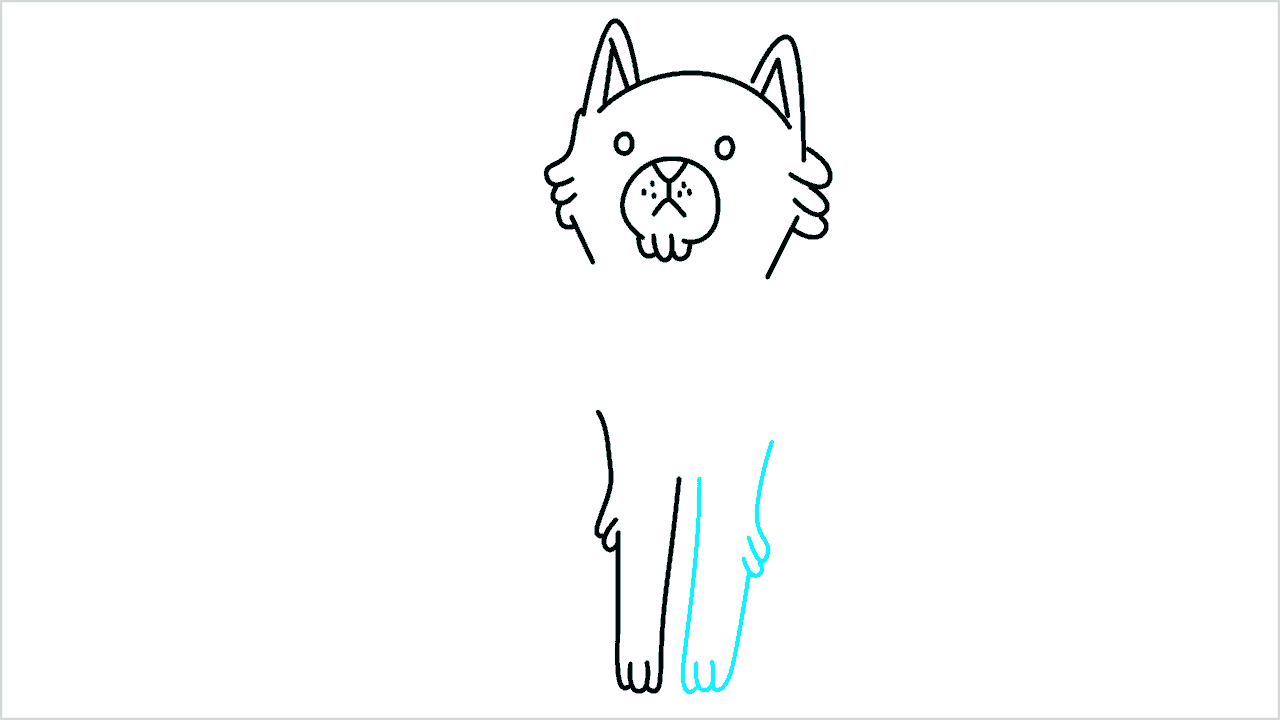 Cómo dibujar un gato sentado paso a paso (8)