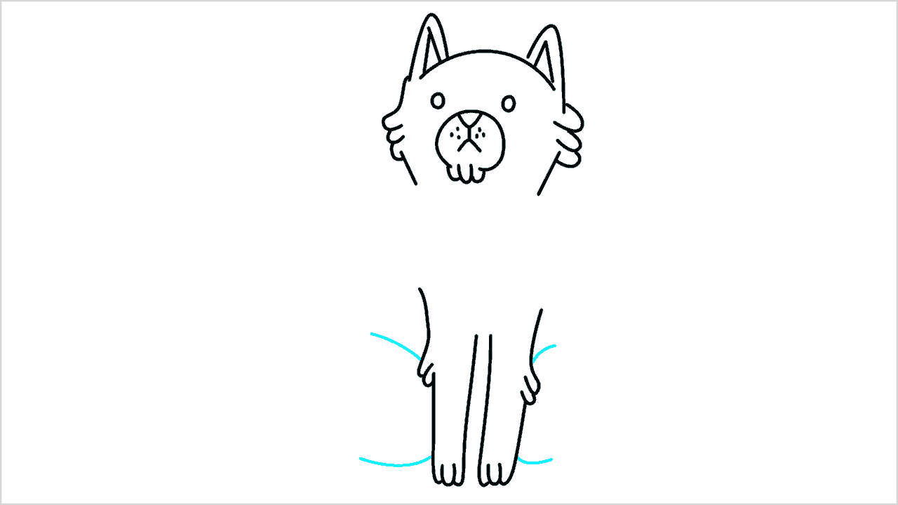 Cómo dibujar un gato sentado paso a paso (9)