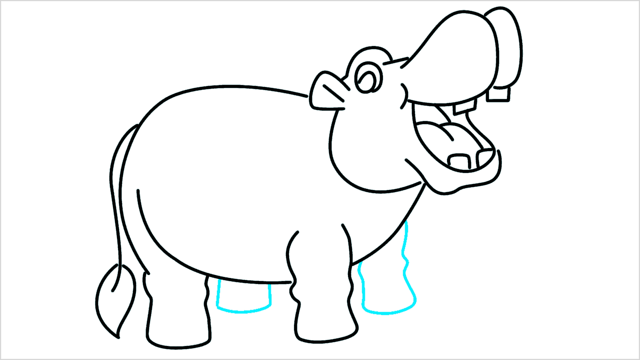 Cómo dibujar un hipopótamo paso a paso (11)