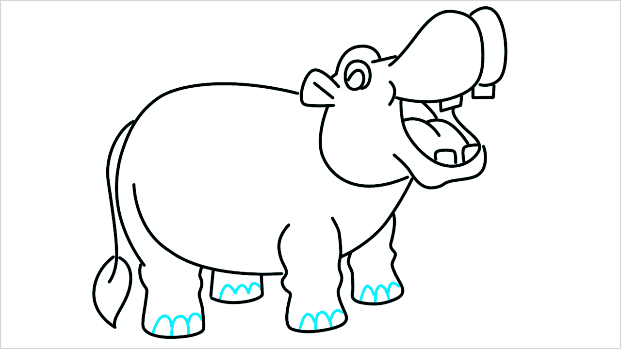 Cómo dibujar un hipopótamo paso a paso (12)