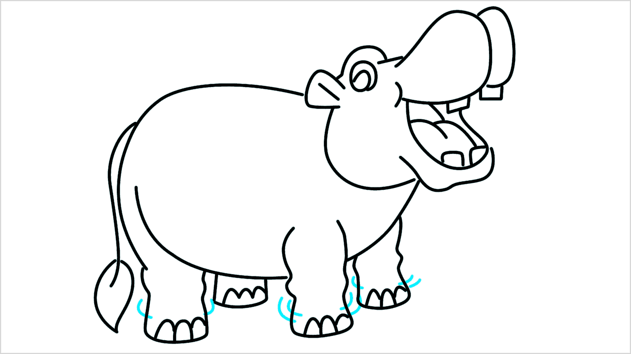 Cómo dibujar un hipopótamo paso a paso (13)