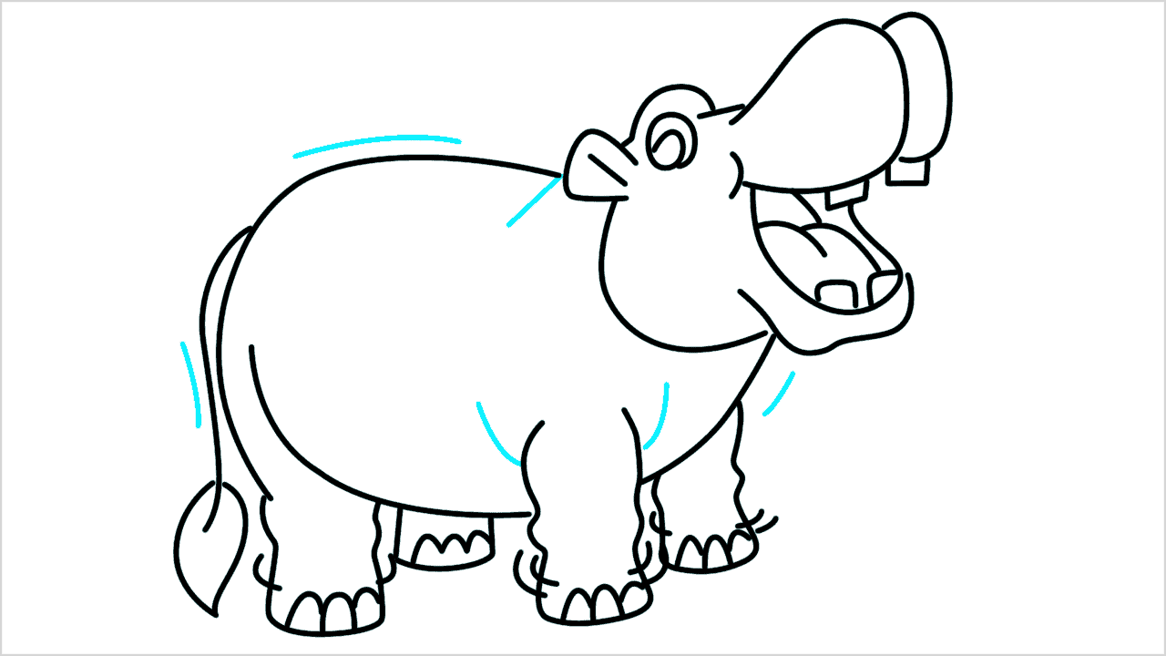 Cómo dibujar un hipopótamo paso a paso (14)
