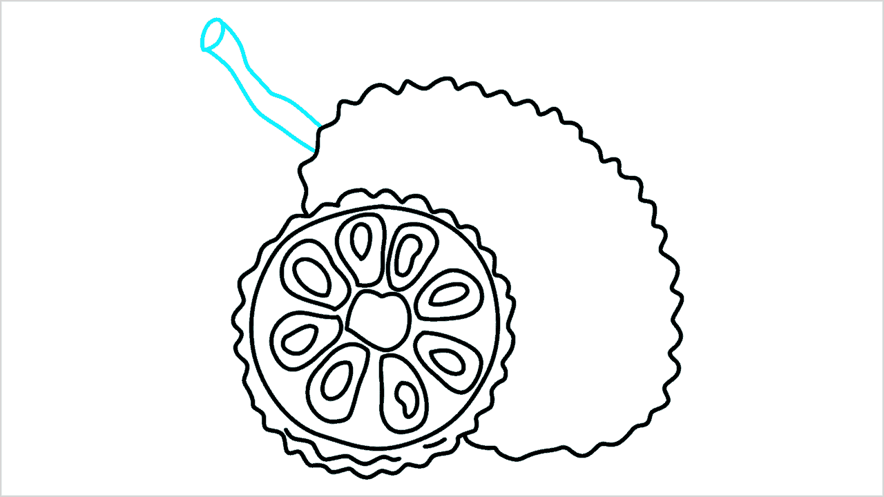 Cómo dibujar un jackfruit paso a paso (6)