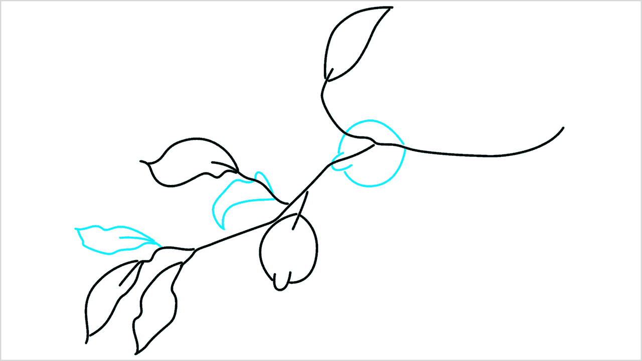 Cómo dibujar un limón en una rama de árbol (6)