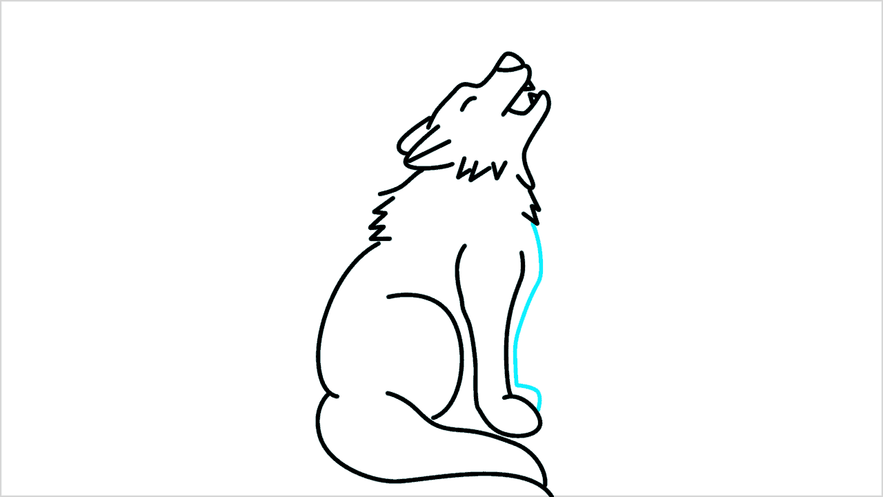 Cómo dibujar un lobo aullando paso a paso (9)