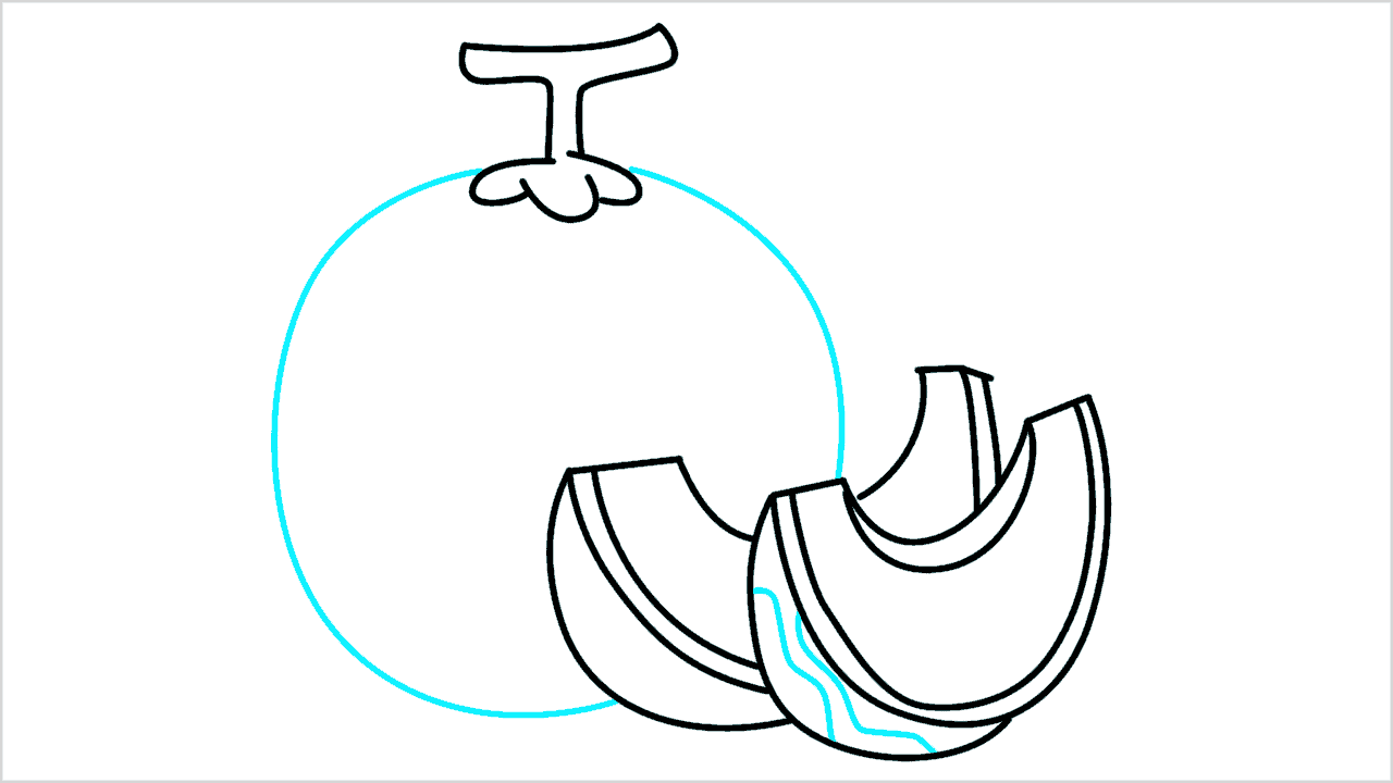 Cómo dibujar un melón (honeydew) paso a paso (6)