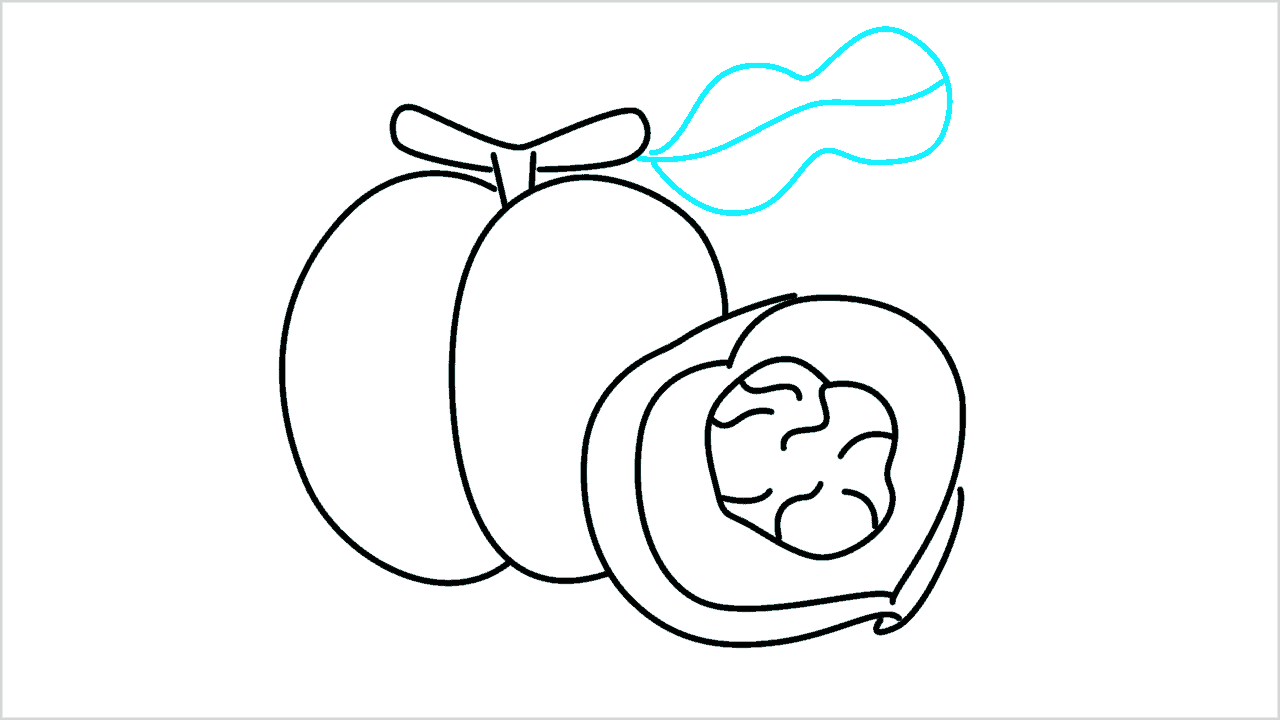 Cómo dibujar un nectarine (fruta) paso a paso (7)