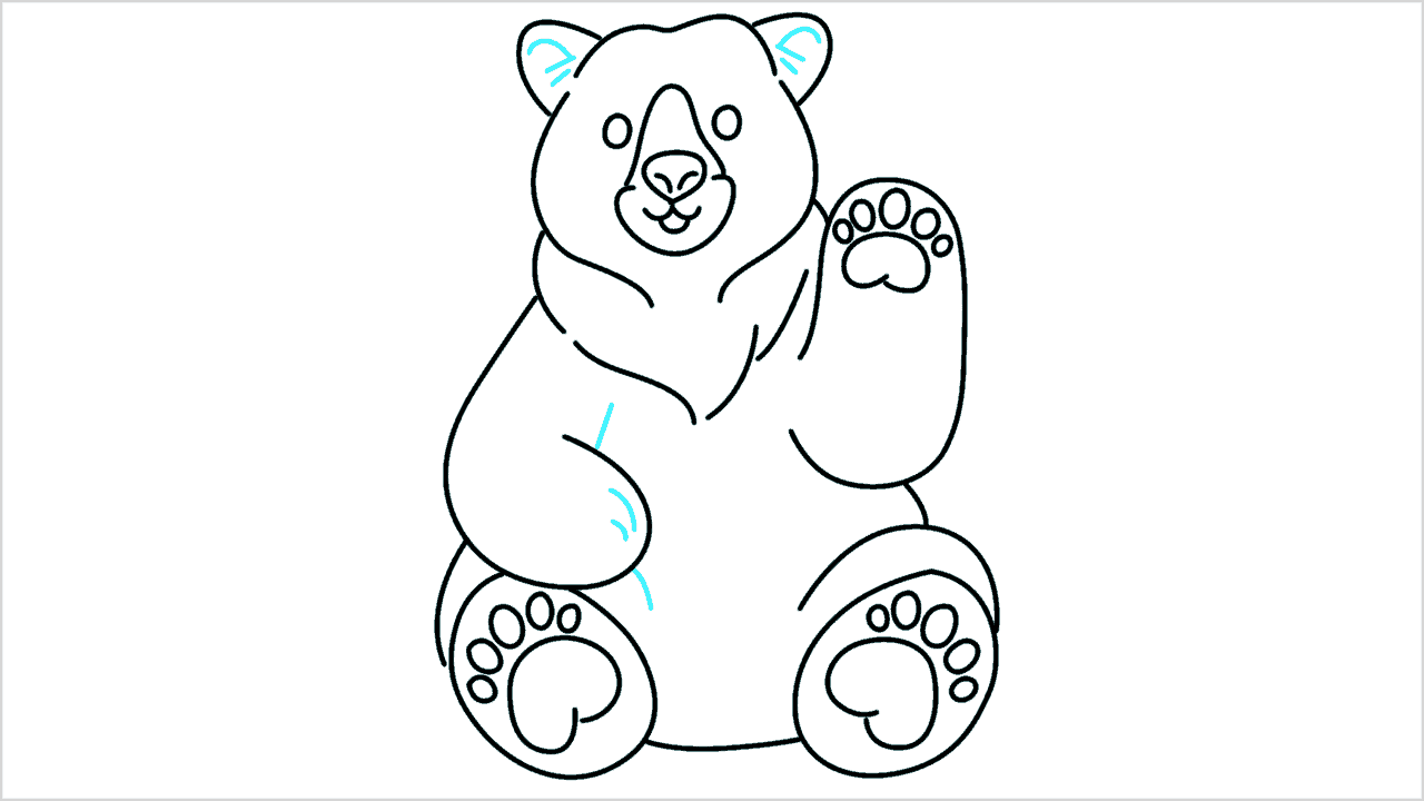 Cómo dibujar un oso (grizzly bear) paso a paso (13)
