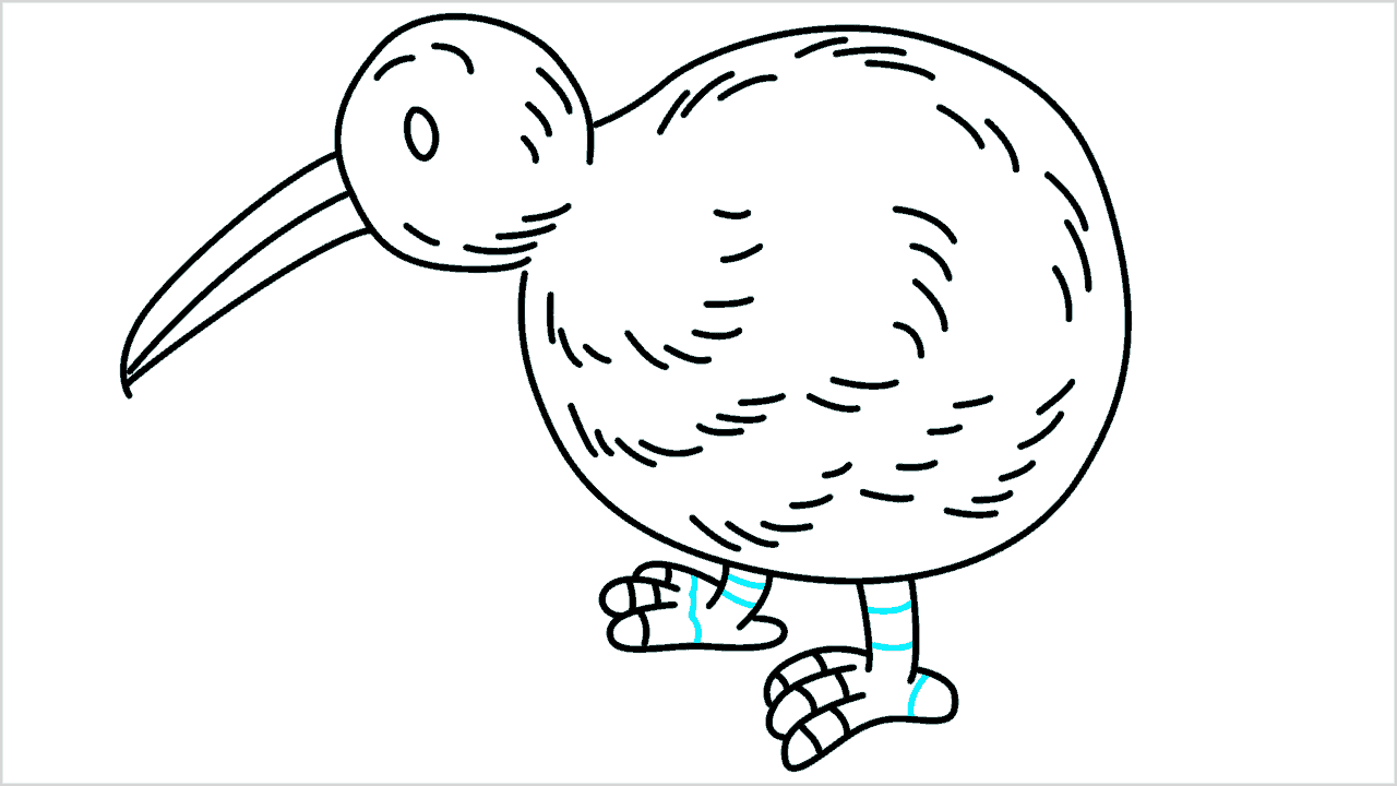 Cómo dibujar un pájaro kiwi paso a paso (10)