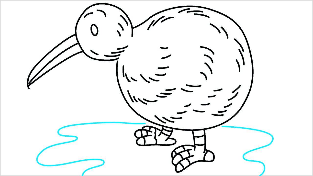 Cómo dibujar un pájaro kiwi paso a paso (11)