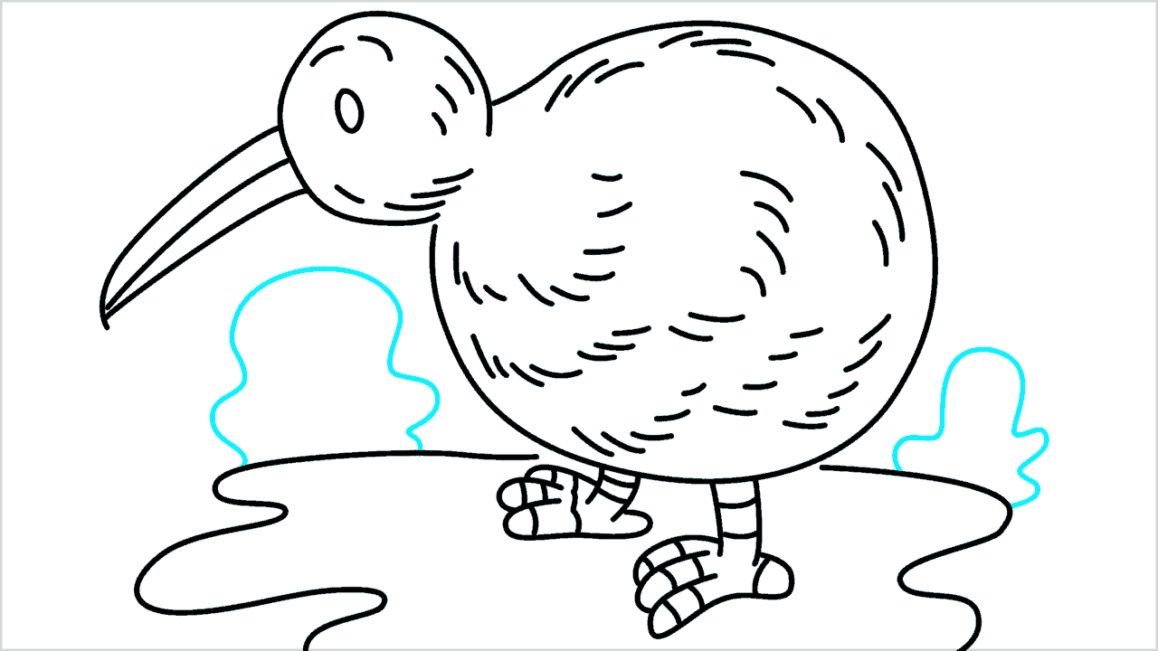 Cómo dibujar un pájaro kiwi paso a paso (12)