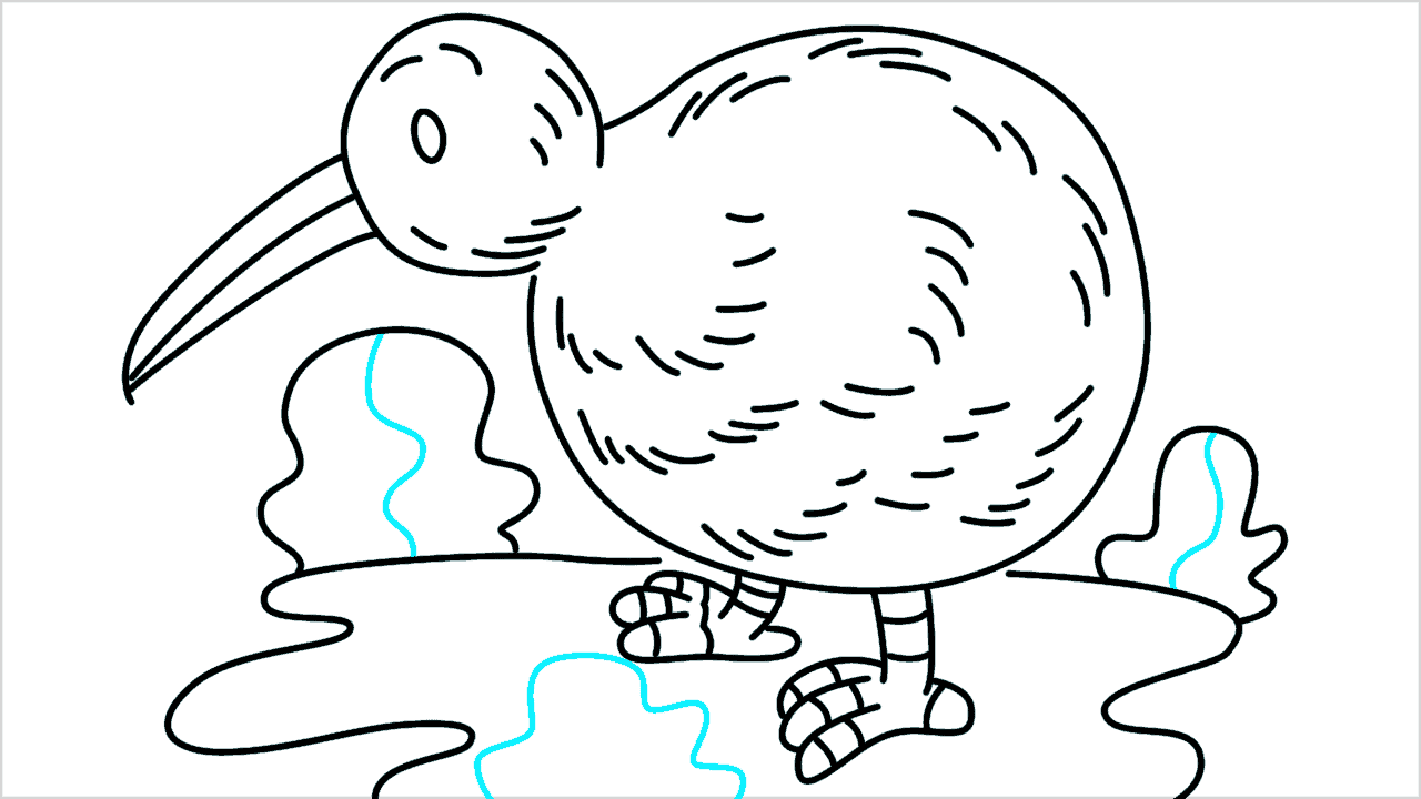 Cómo dibujar un pájaro kiwi paso a paso (13)