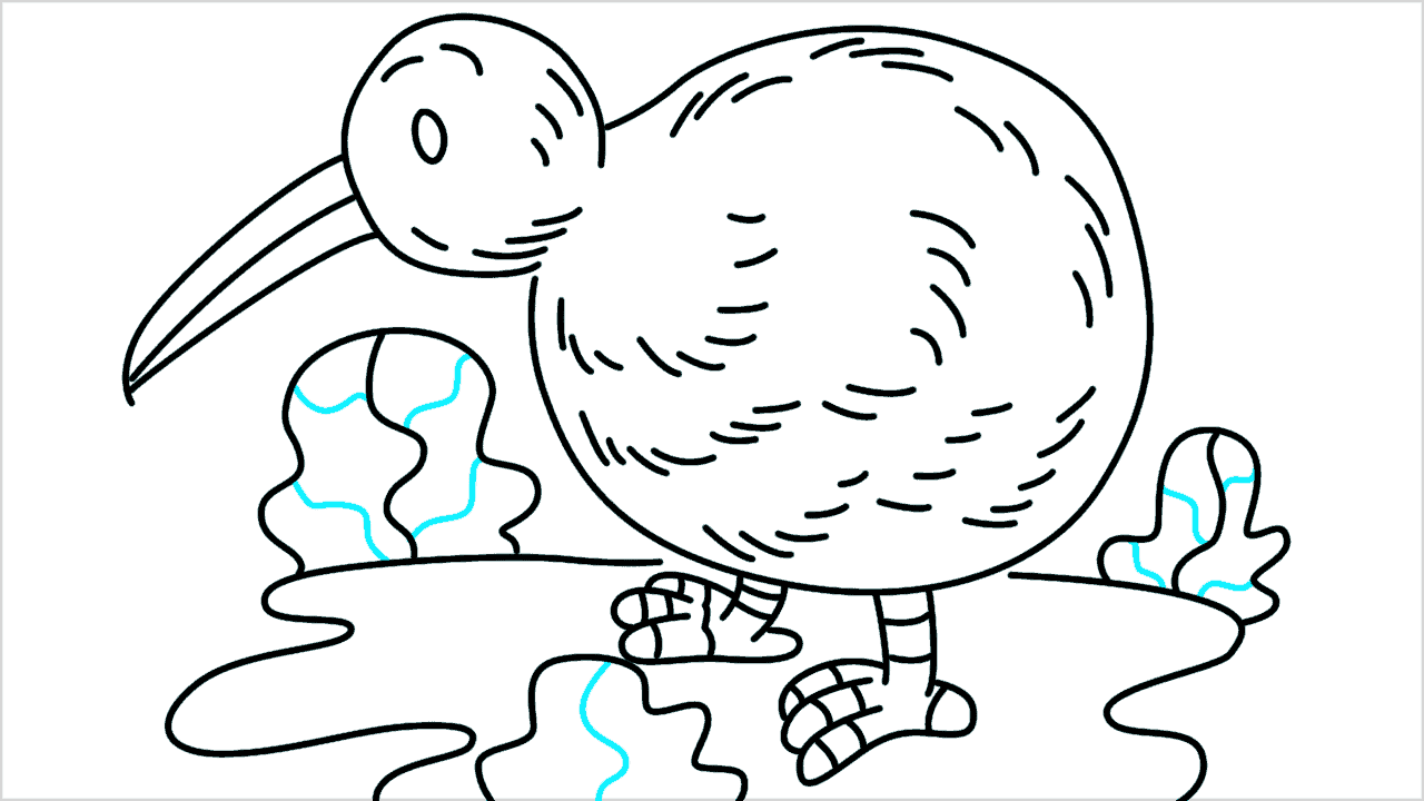 Cómo dibujar un pájaro kiwi paso a paso (14)
