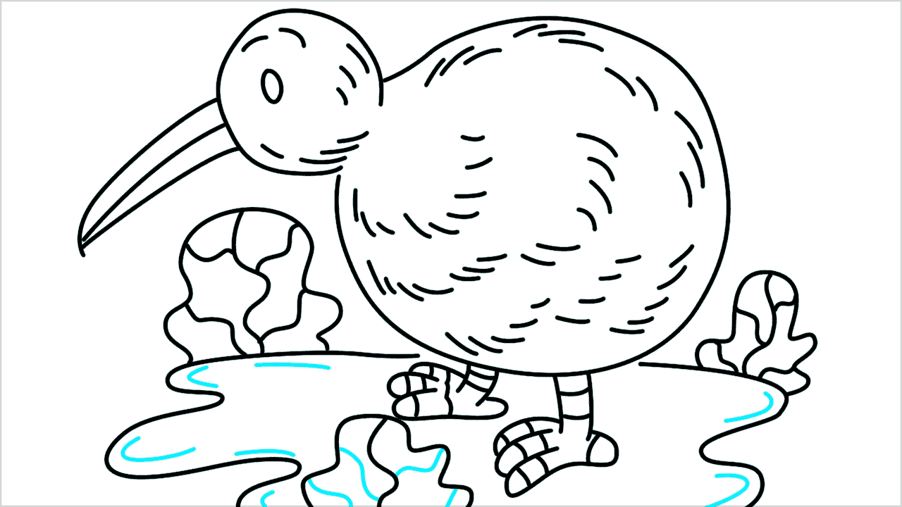 Cómo dibujar un pájaro kiwi paso a paso (15)