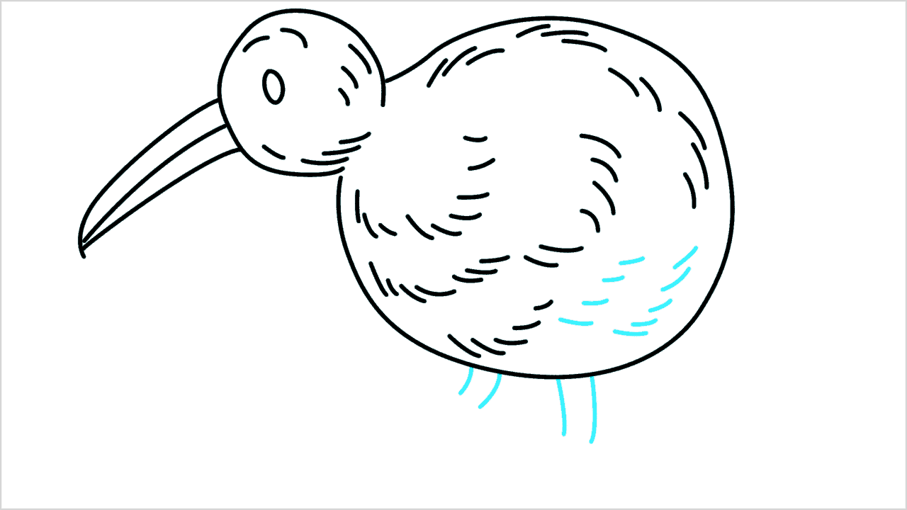 Cómo dibujar un pájaro kiwi paso a paso (7)