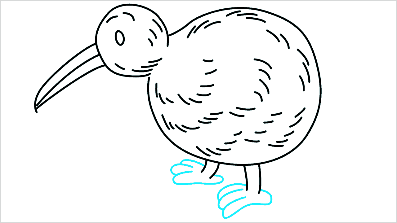 Cómo dibujar un pájaro kiwi paso a paso (8)