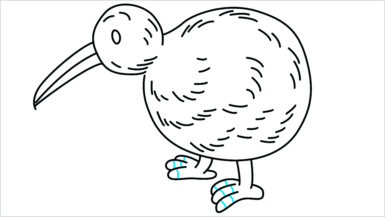 Cómo dibujar un pájaro kiwi paso a paso (9)