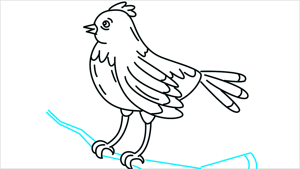 Cómo dibujar un pájaro parado en una rama de árbol paso a paso (11)