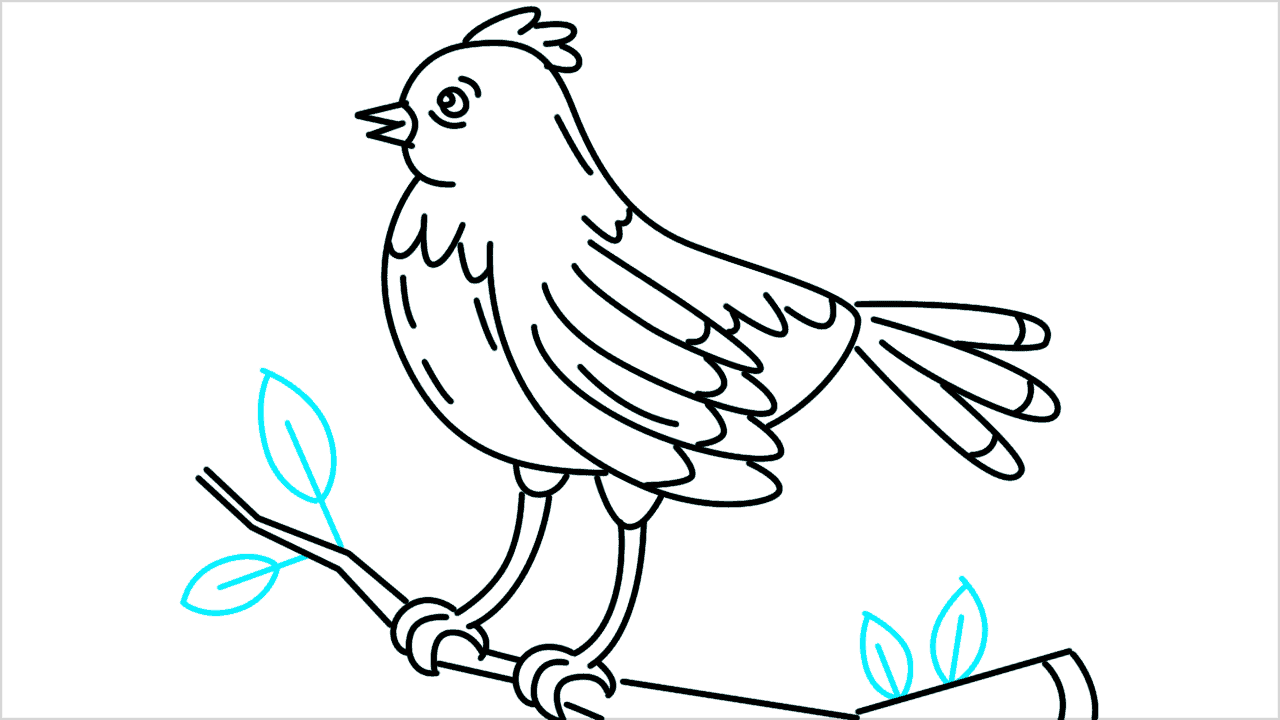 Cómo dibujar un pájaro parado en una rama de árbol paso a paso (12)
