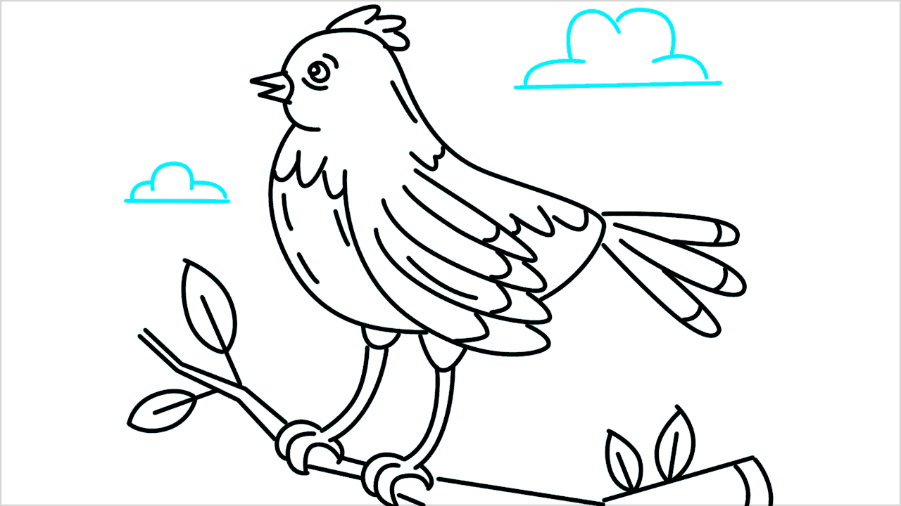 Cómo dibujar un pájaro parado en una rama de árbol paso a paso (13)