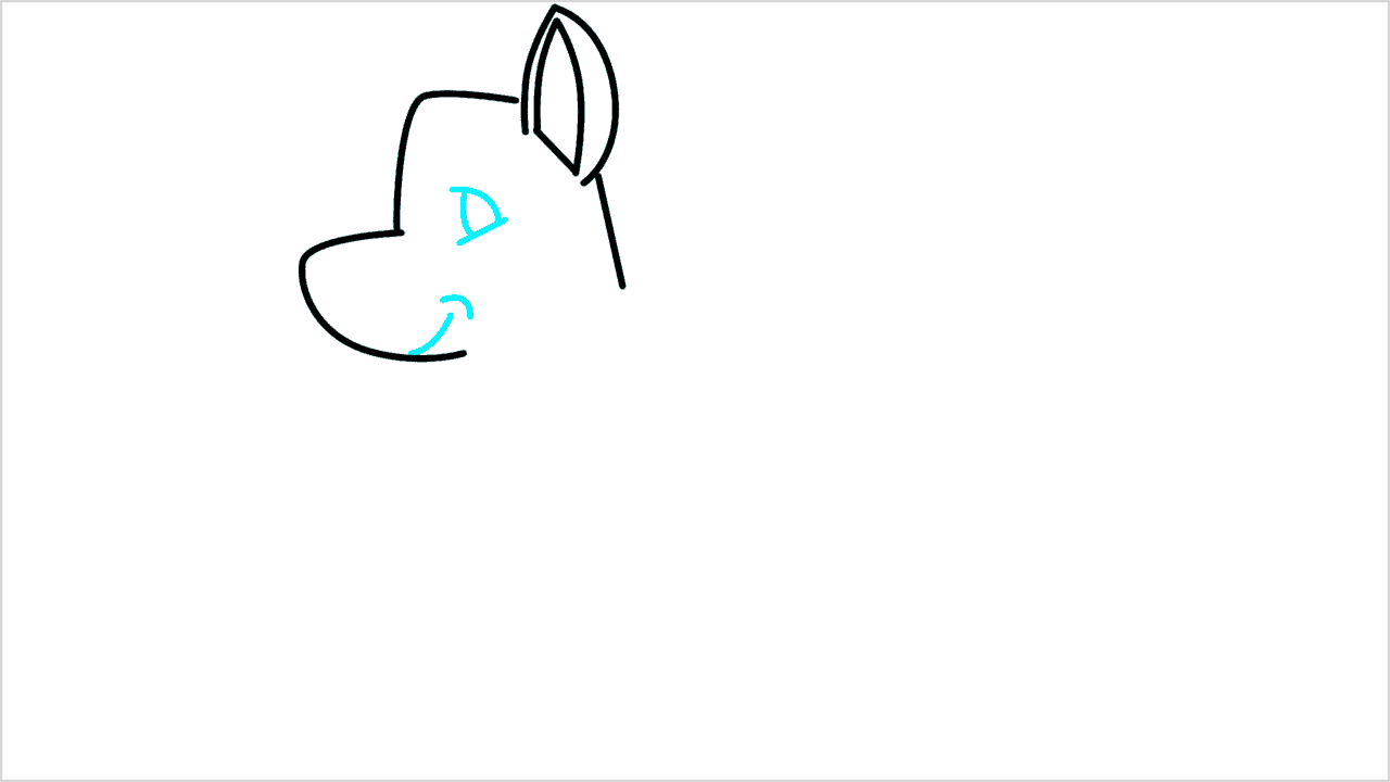 Cómo dibujar un perro american eskimo paso a paso (3)