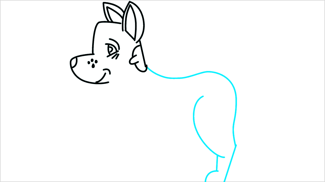 Cómo dibujar un perro american eskimo paso a paso (7)