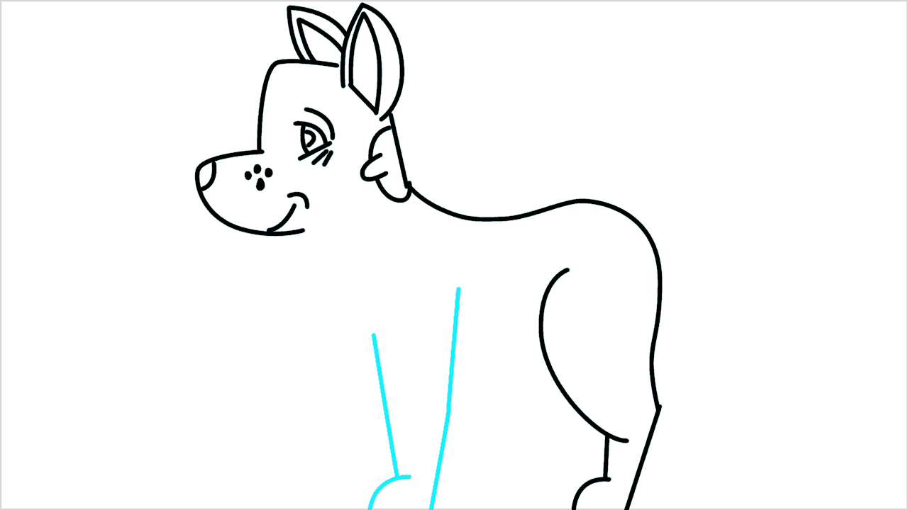 Cómo dibujar un perro american eskimo paso a paso (8)