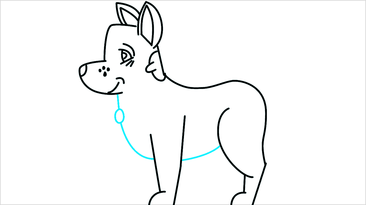 Cómo dibujar un perro american eskimo paso a paso (9)