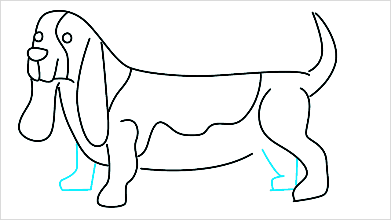 Cómo dibujar un perro dachshund paso a paso (10)