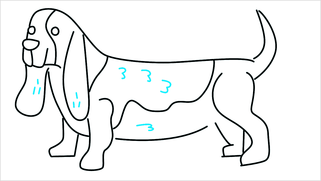 Cómo dibujar un perro dachshund paso a paso (11)