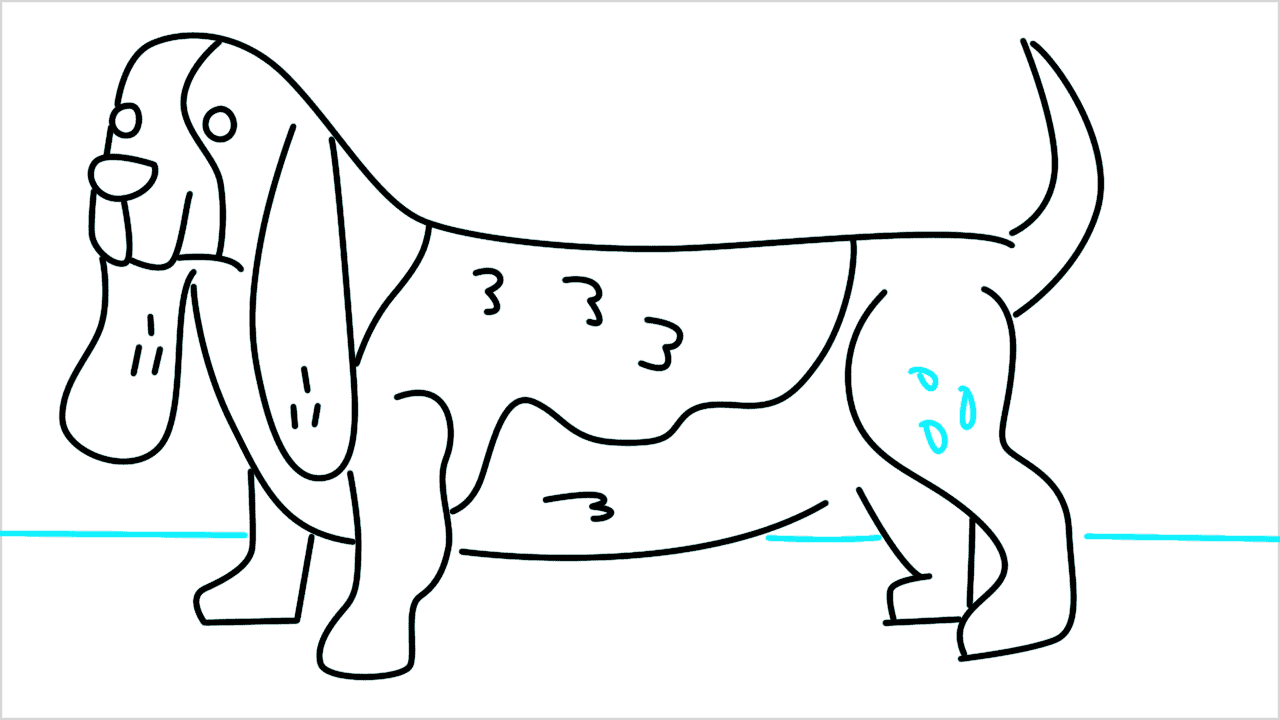 Cómo dibujar un perro dachshund paso a paso (12)