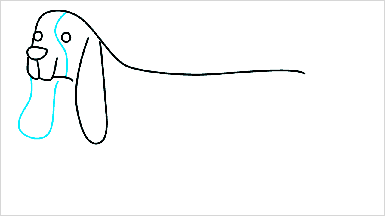 Cómo dibujar un perro dachshund paso a paso (5)