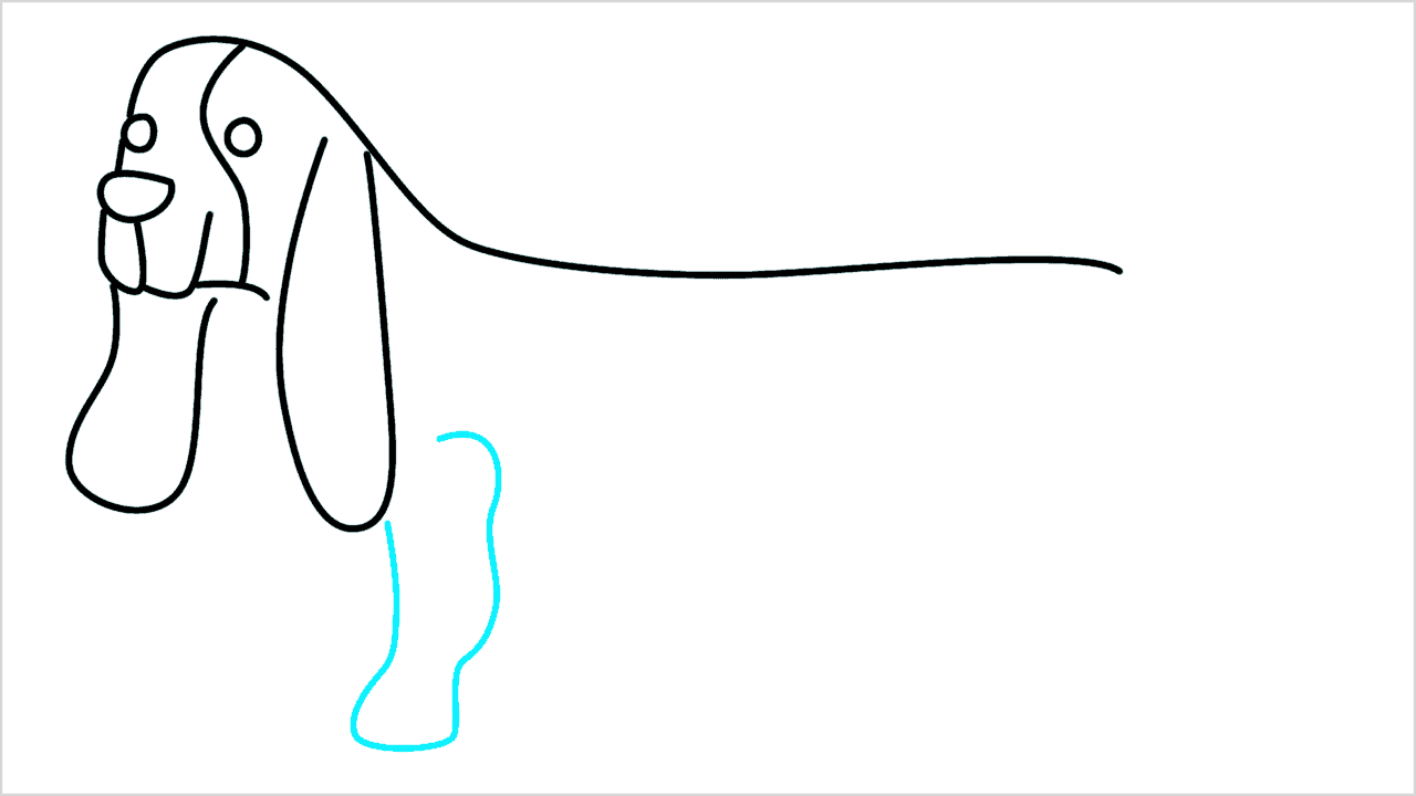 Cómo dibujar un perro dachshund paso a paso (6)