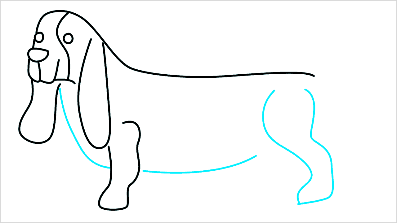 Cómo dibujar un perro dachshund paso a paso (7)