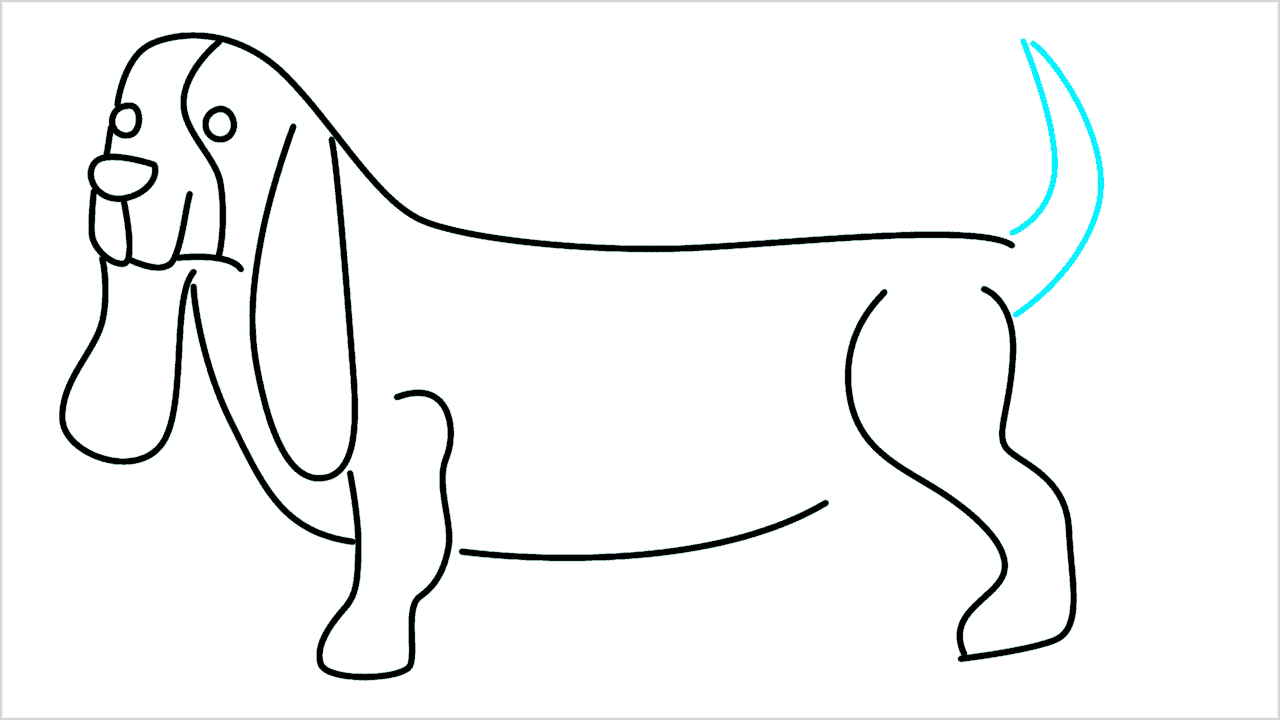 Cómo dibujar un perro dachshund paso a paso (8)