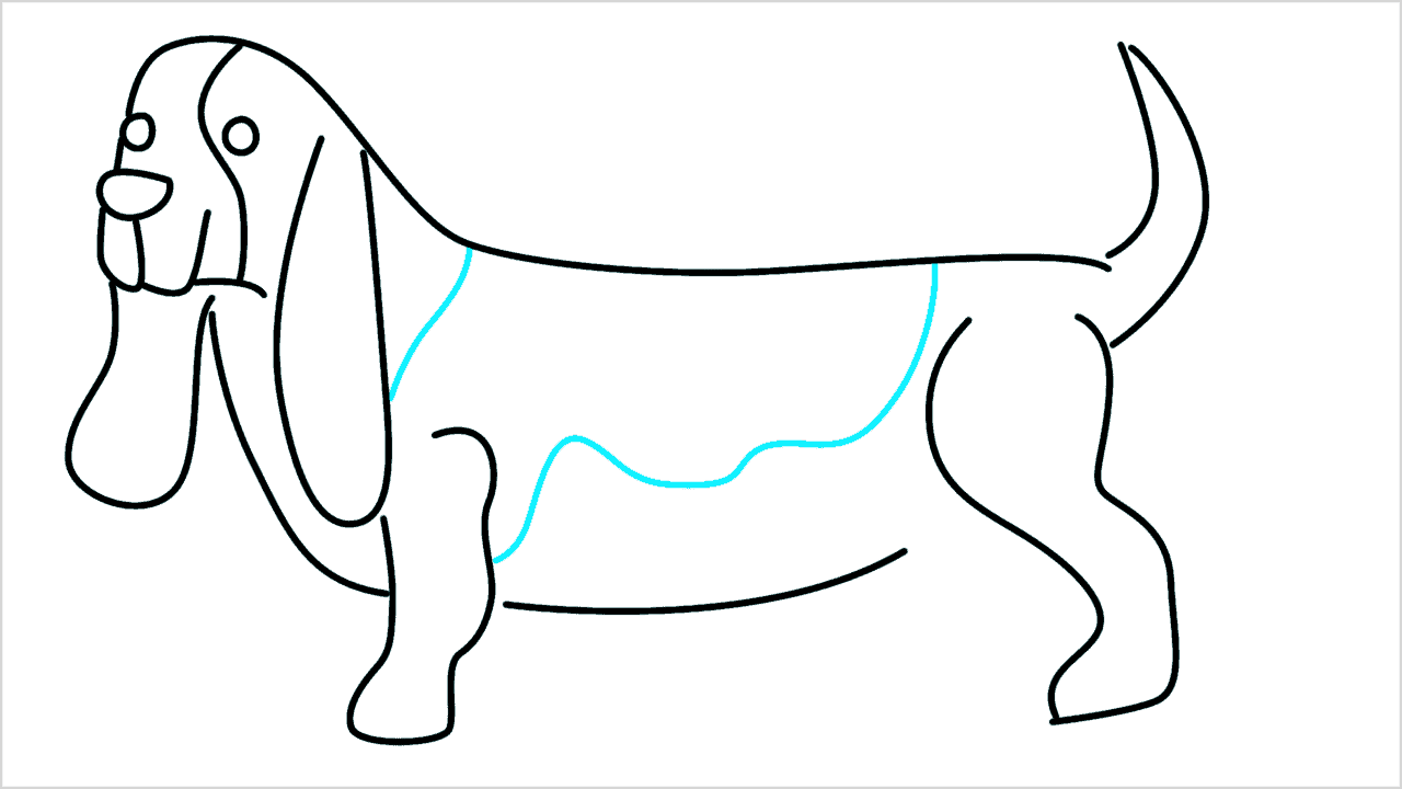 Cómo dibujar un perro dachshund paso a paso (9)