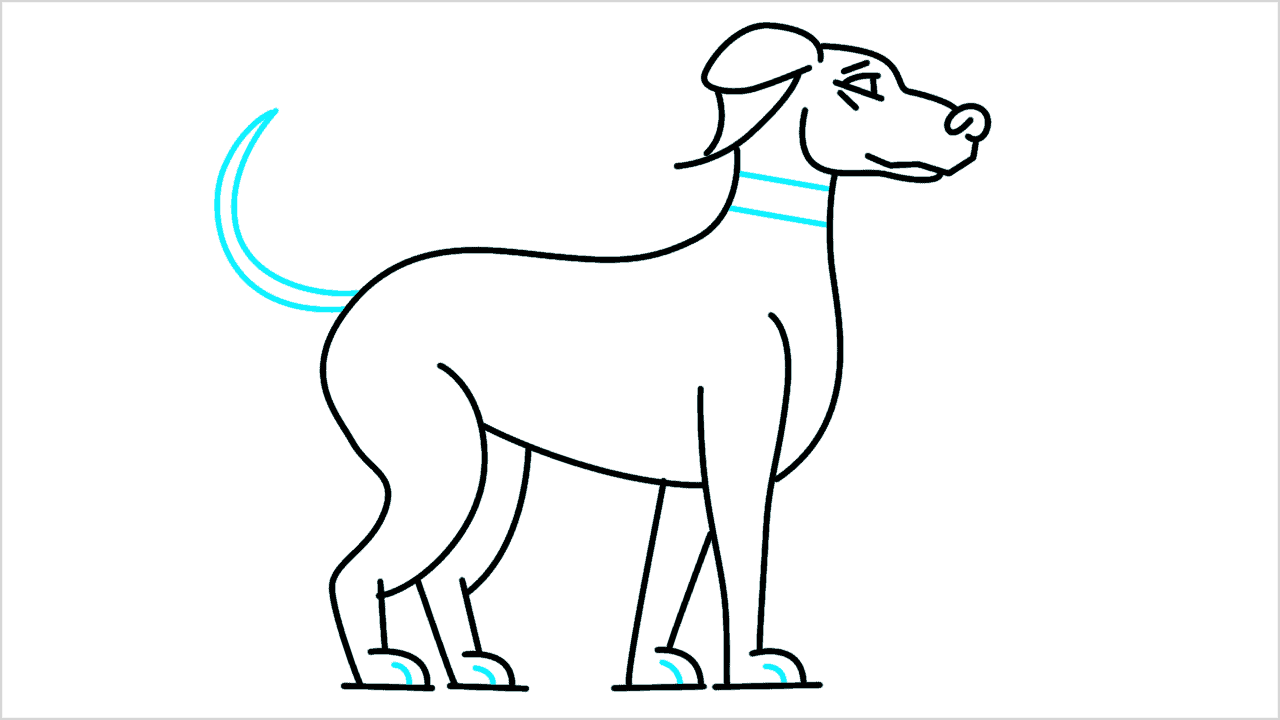 Cómo dibujar un perro doberman paso a paso (10)