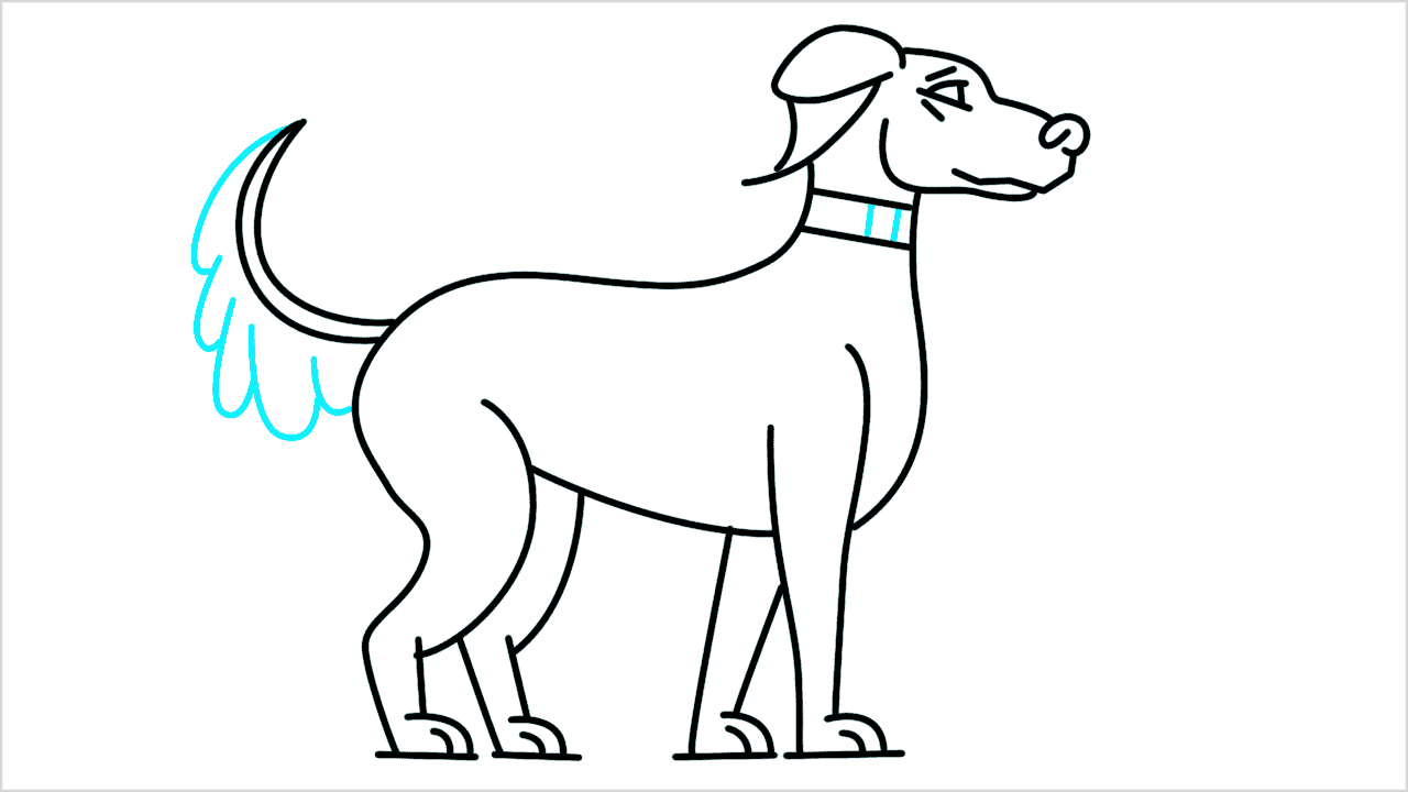 Cómo dibujar un perro doberman paso a paso (11)