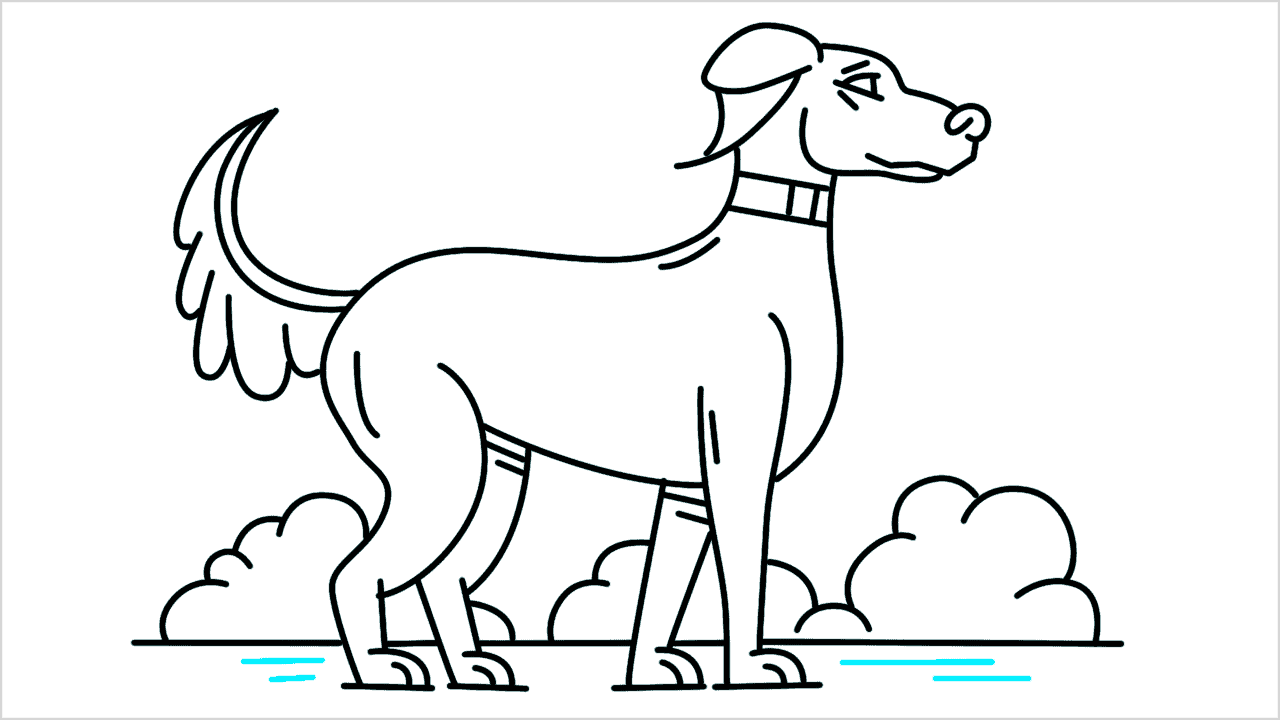 Cómo dibujar un perro doberman paso a paso (14)